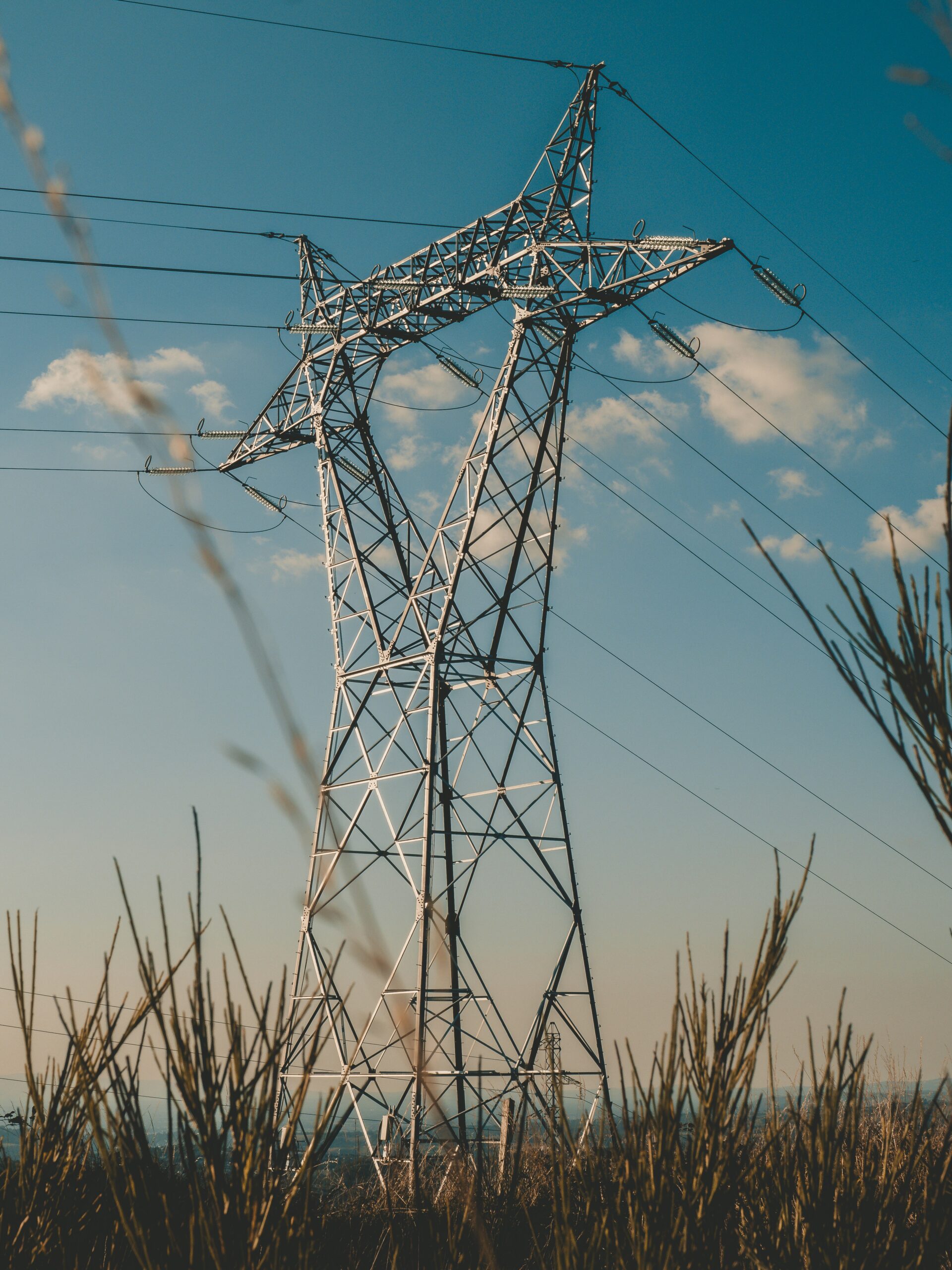 Building a Stronger Vegetation Management Program for Your Cooperative