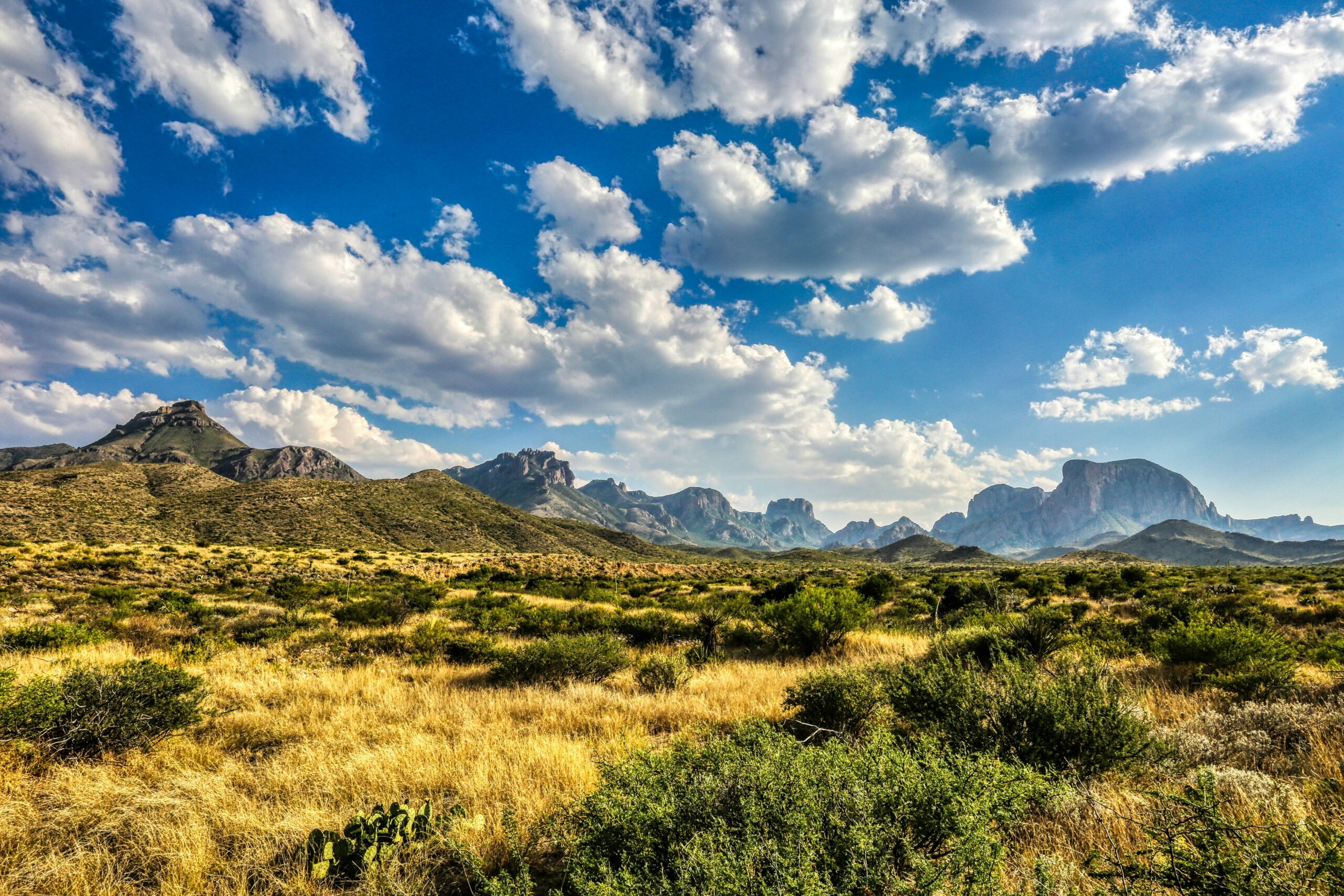 Texas Just Changed the Rules on Wildfire Mitigation. Here’s What Co-ops Need to Know.